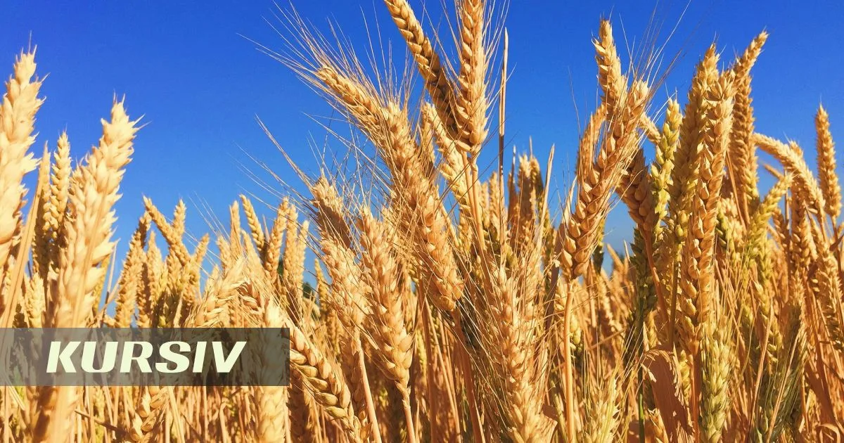 Black Sea escalation threatens Kazakh farmers' grain exports