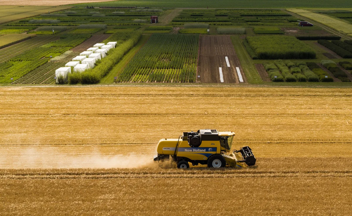 Reversing soil degradation 10% could feed 70 million more, study finds