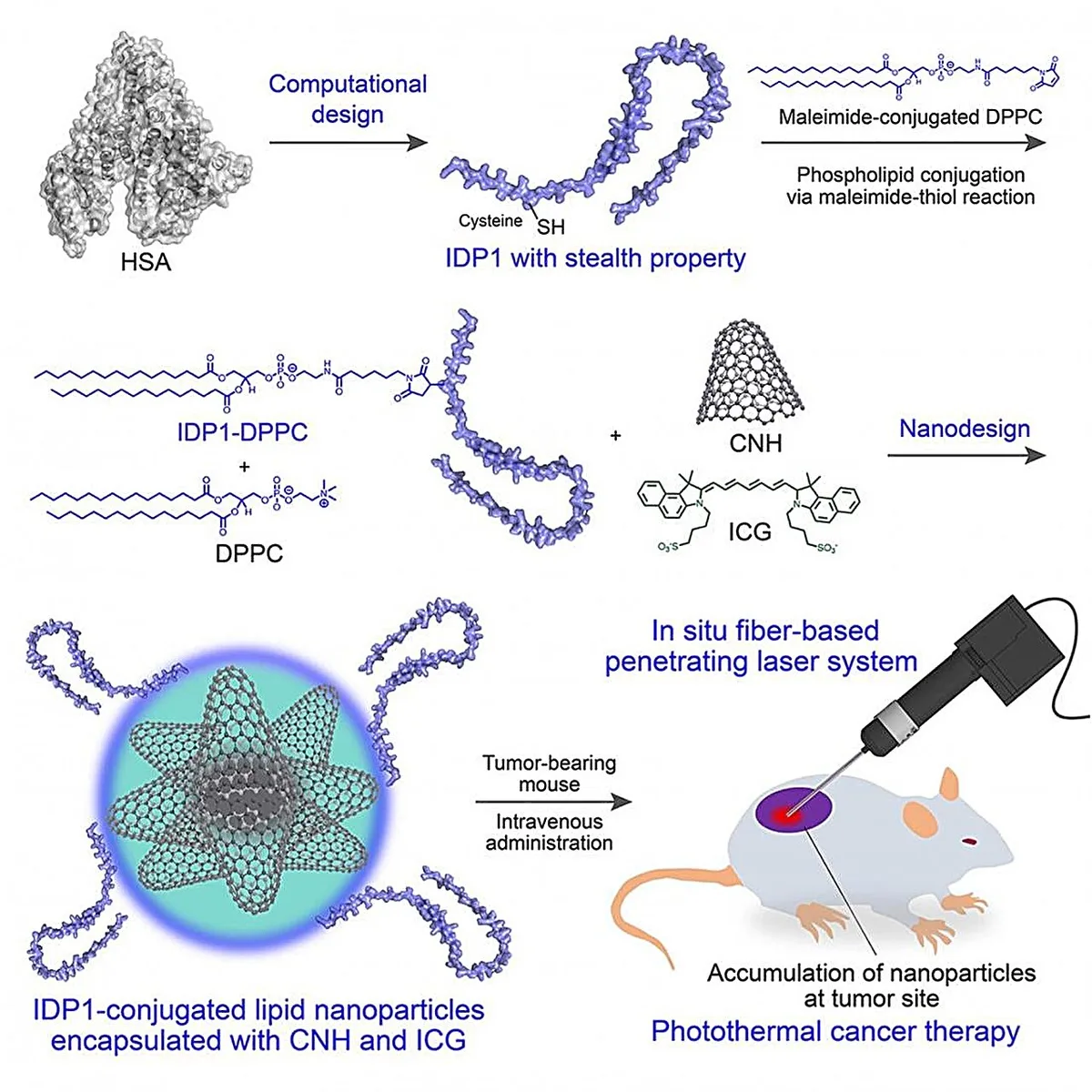 Nanoparticle and internal laser method advances cancer therapy