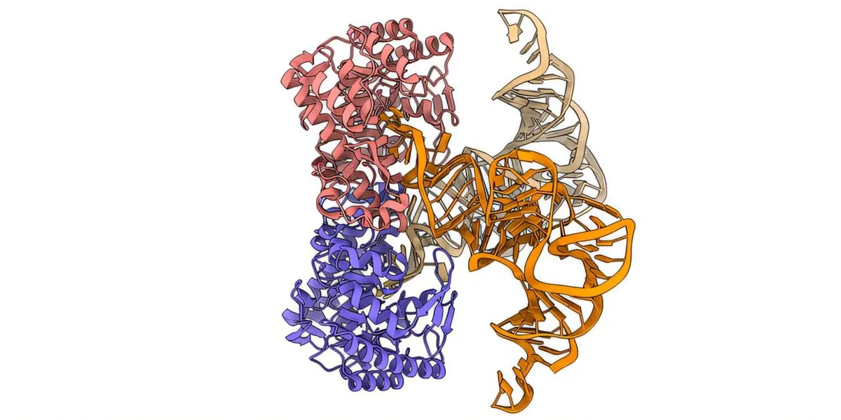 Cryo-EM reveals E. coli TGT structure, overturning enzyme model