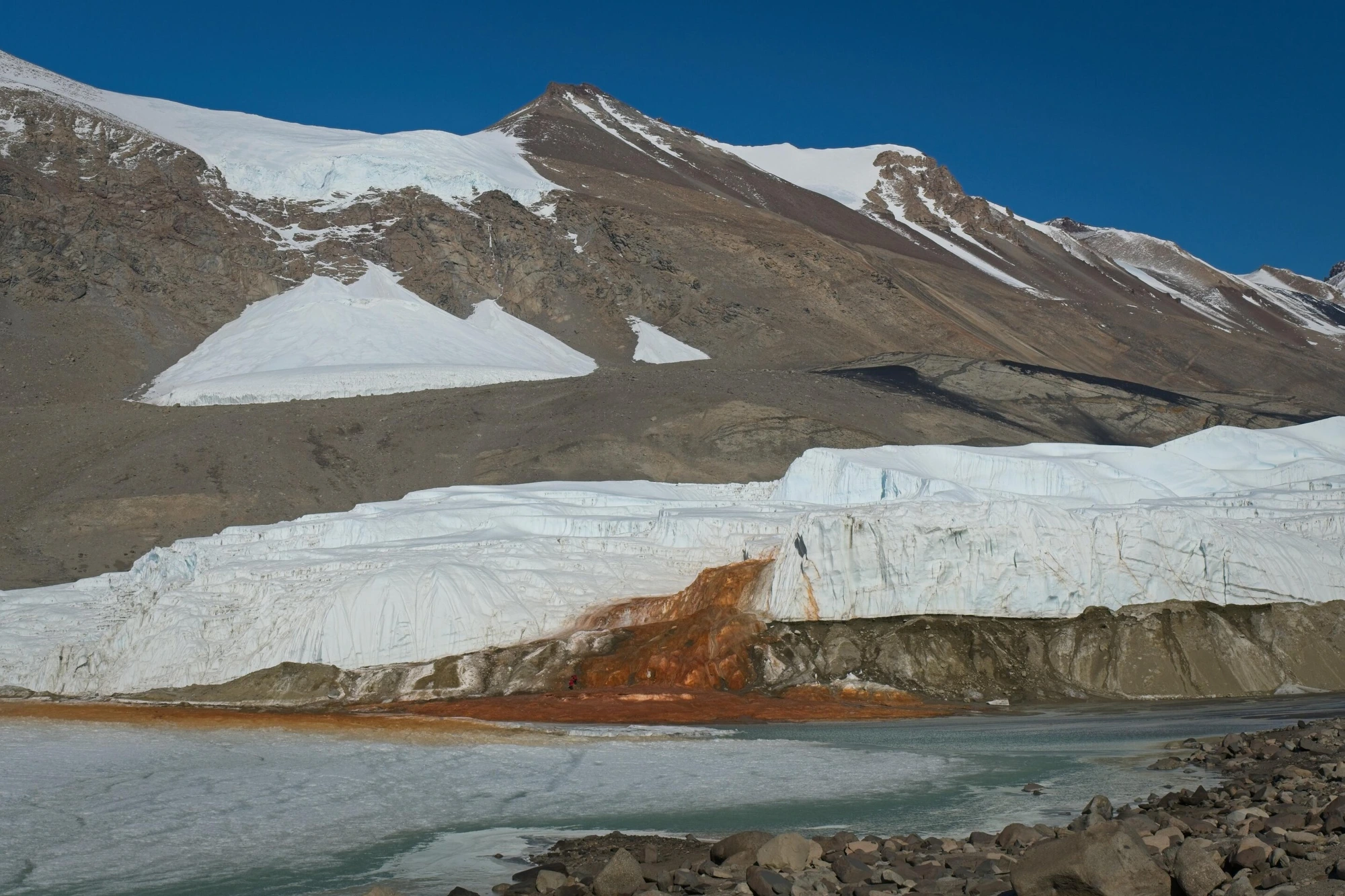 Nature Geoscience: микробы Blood Falls оказались морскими реликтами