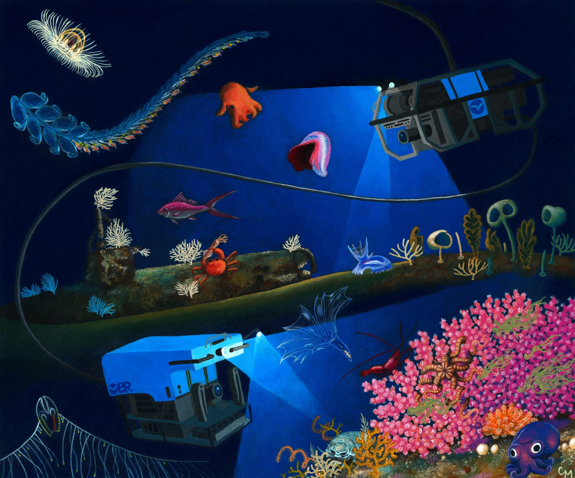 Ocean Discovery League: при нынешних темпах визуальное обследование глубоководного дна заняло бы 100 000 лет