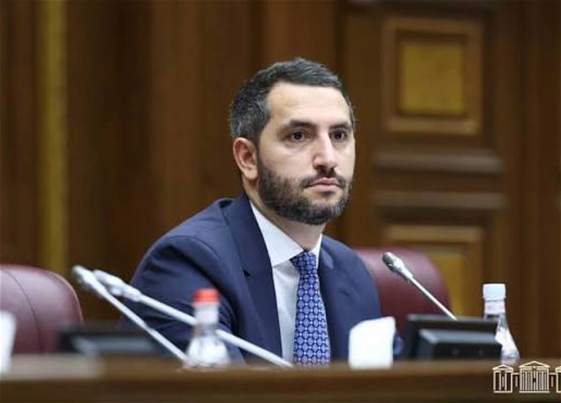 Спикер парламента Армении: коллеги по ЕАЭС подталкивают Ереван к вступлению в ЕС