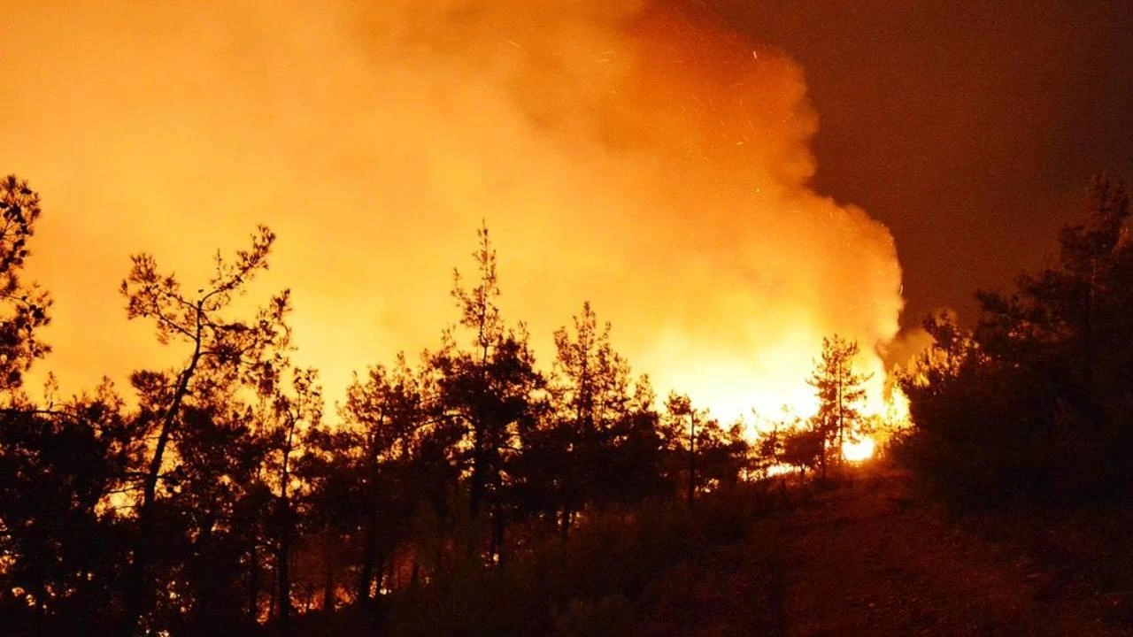 Лесные пожары в Европе в 2026 году охватили 600 тыс. га, сильнее всего пострадала Испания