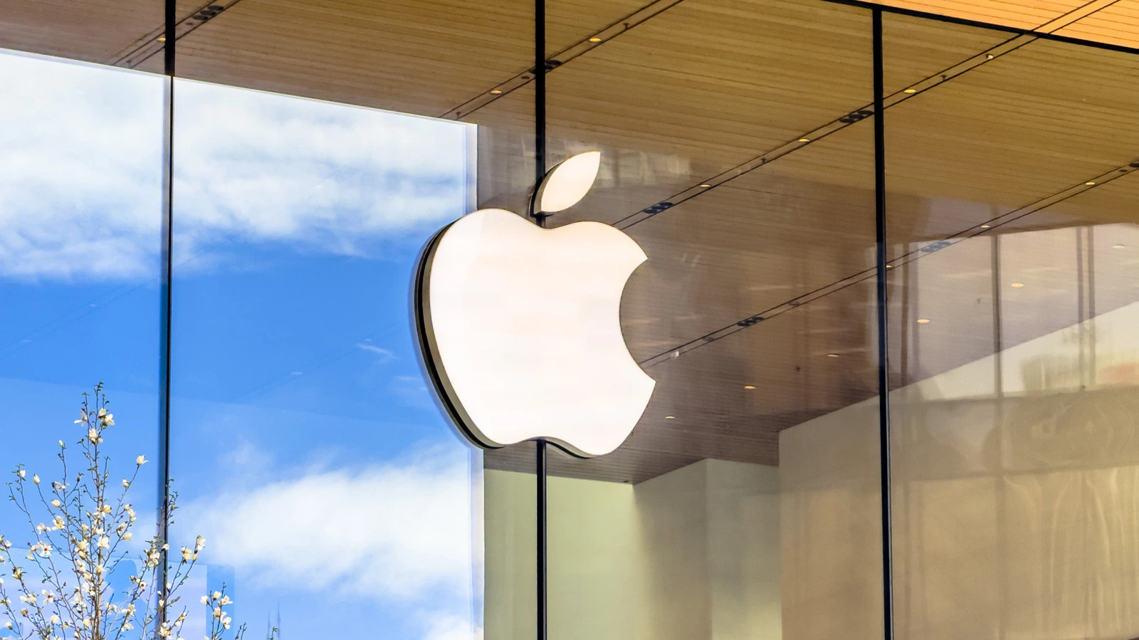 Apple представила новые доказательства по иску о коммерческой тайне против OpenAI