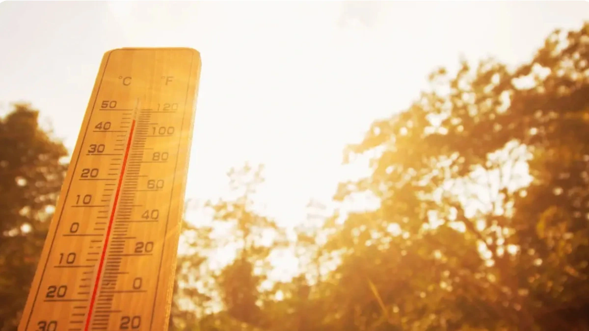 В Великобритании зафиксировано самое жаркое лето с 1884 года — в среднем 16,5°C