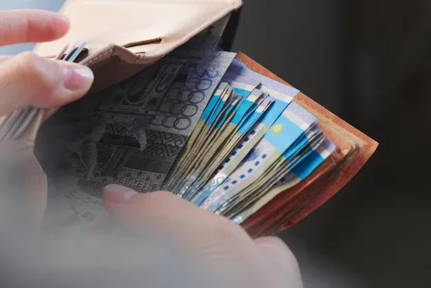 Kazakhstan halts income data release amid reporting delays