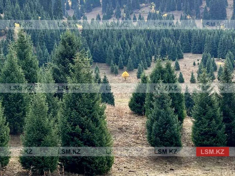 Almaty plans new ski resort as tourism demand rises