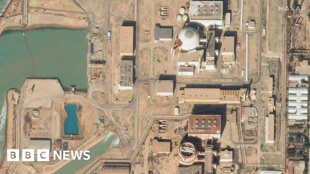 IAEA urges restraint at Bushehr plant amid reported attacks