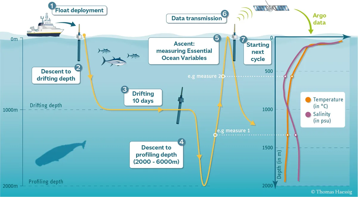 Robotic Floats Detect Ocean Chemistry in Low-Oxygen Zones